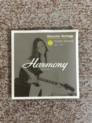 IMG_3366 Senar Gitar Electric 6 Harmony HE01 09-42