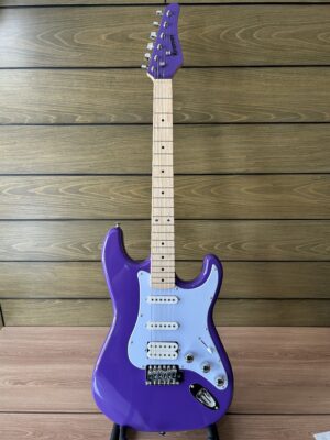 IMG_3779 Kramer Focus VT-211S - Purple
