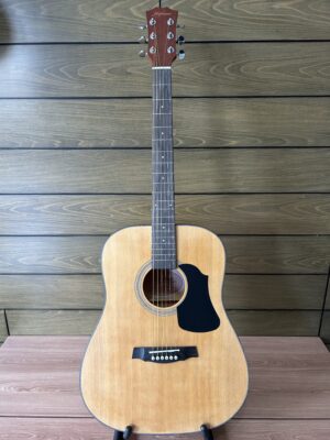 IMG_3846 Hofmann HF138 Folk Acoustic
