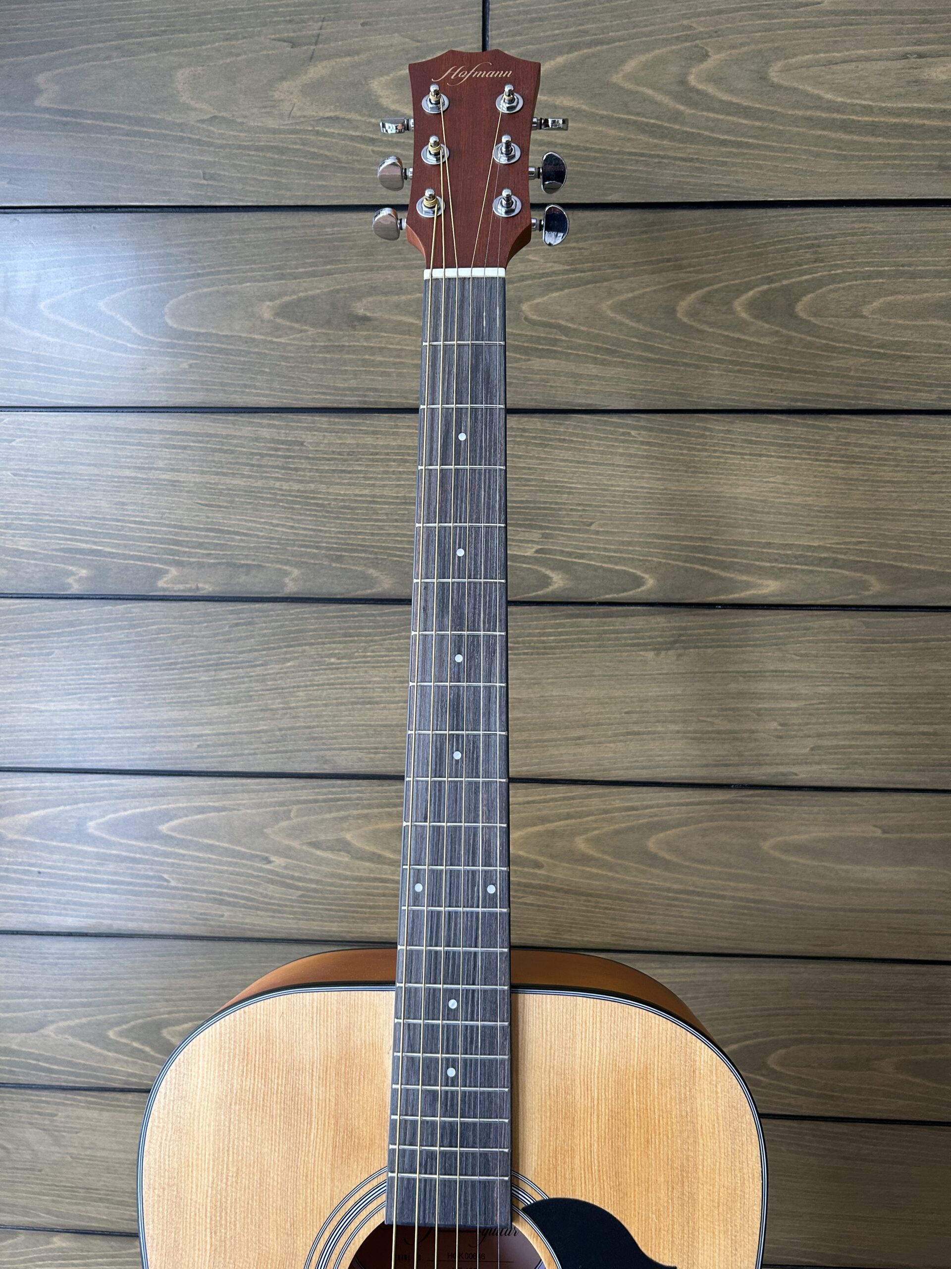 Hofmann HF138 Folk Acoustic - Gambar 4