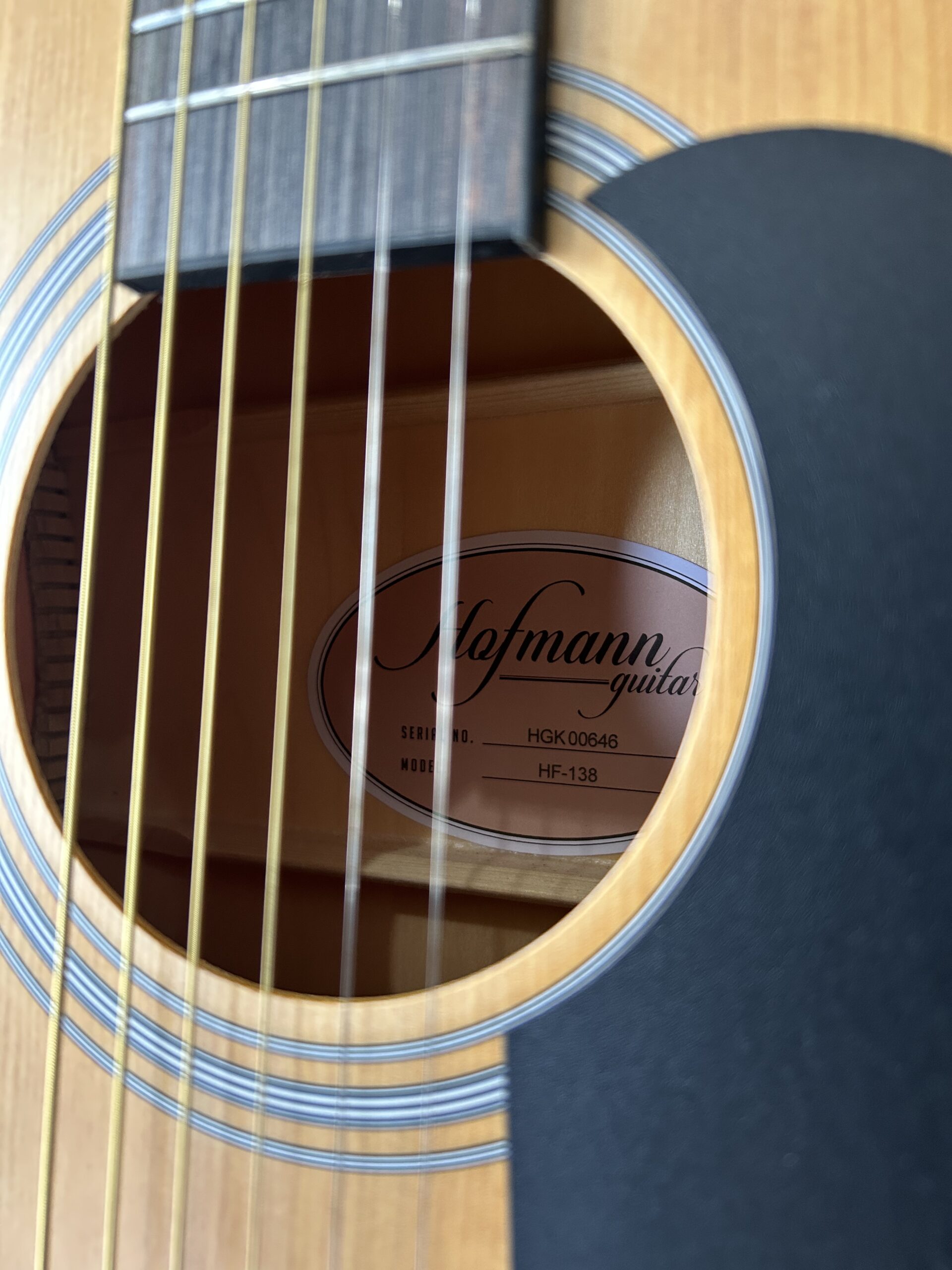 Hofmann HF138 Folk Acoustic - Gambar 2