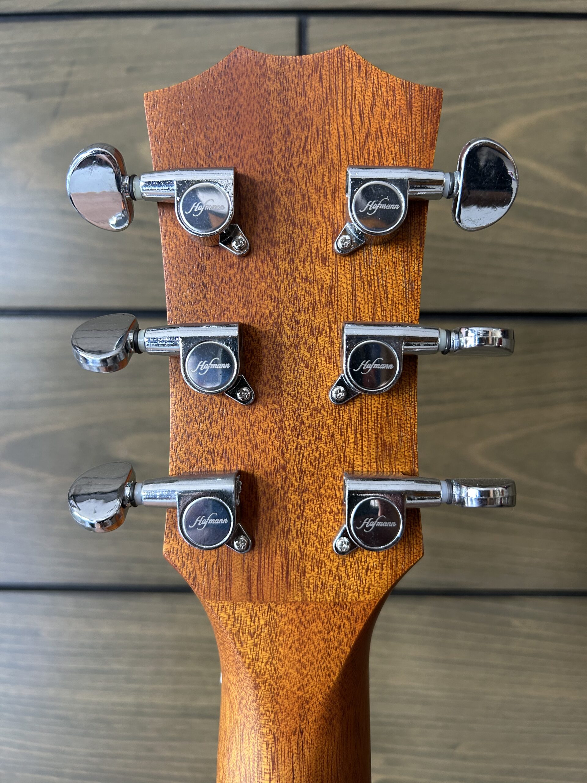 Hofmann HF138 Folk Acoustic - Gambar 7