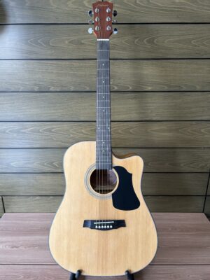 IMG_3860 Hofmann HF138CEQ Cutaway Acoustic Electric