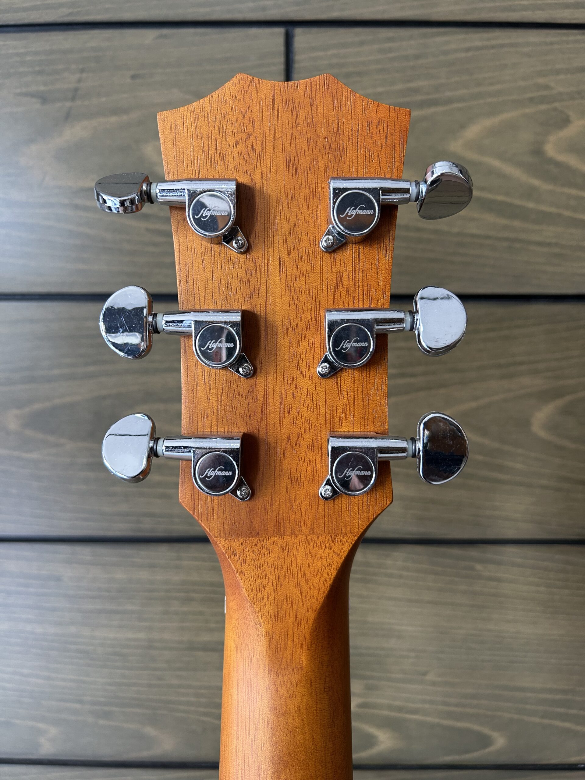 Hofmann HF138EQ Acoustic Electric - Gambar 7